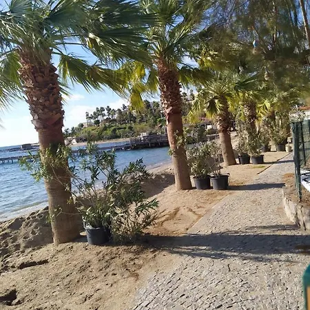 Platin Asarlik * Bodrum